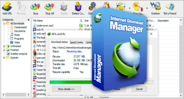 Internet Download Manager 6.42 Build 26