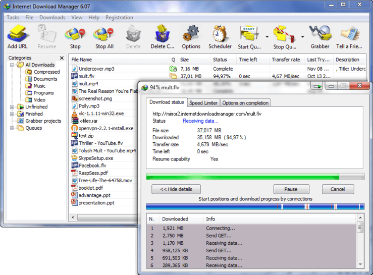 Internet Download Manager 6.42 Build 26