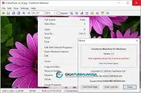FastStone MaxView Full Download 2026 (2)