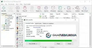 Internet Download Manager (IDM) Full 2026 (2)