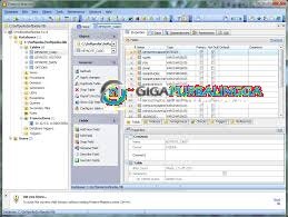 SQL Firebird Maestro Full Win Version Download