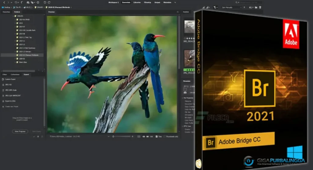Adobe Bridge 2026 Full Download