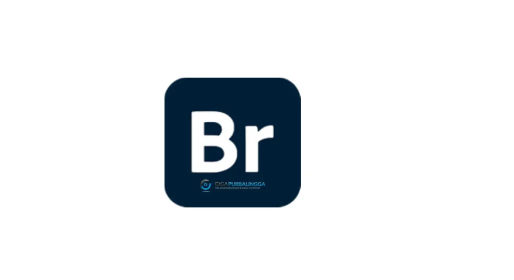 Adobe Bridge 2026 Full Download