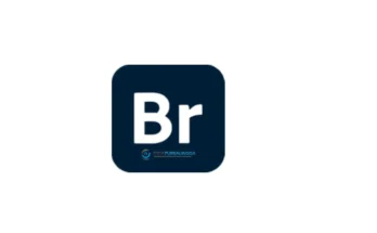 Adobe Bridge 2026 Full Download