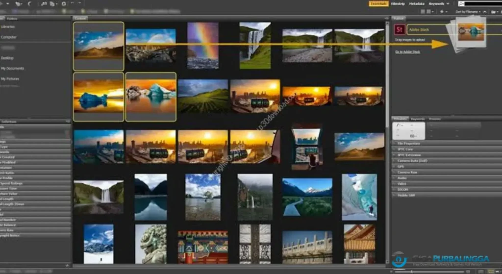 Adobe Bridge 2026 Full Download