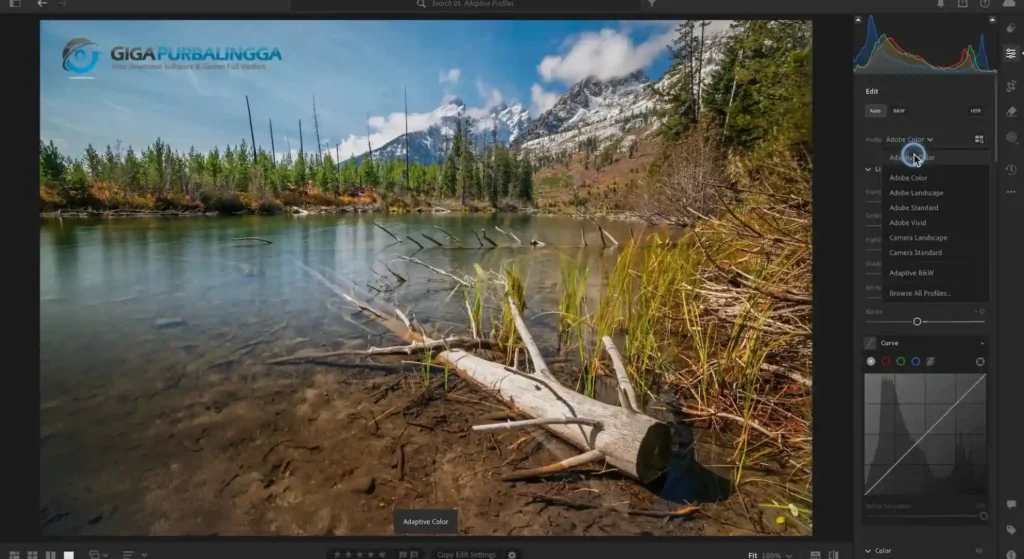 Adobe Lightroom Classic Download