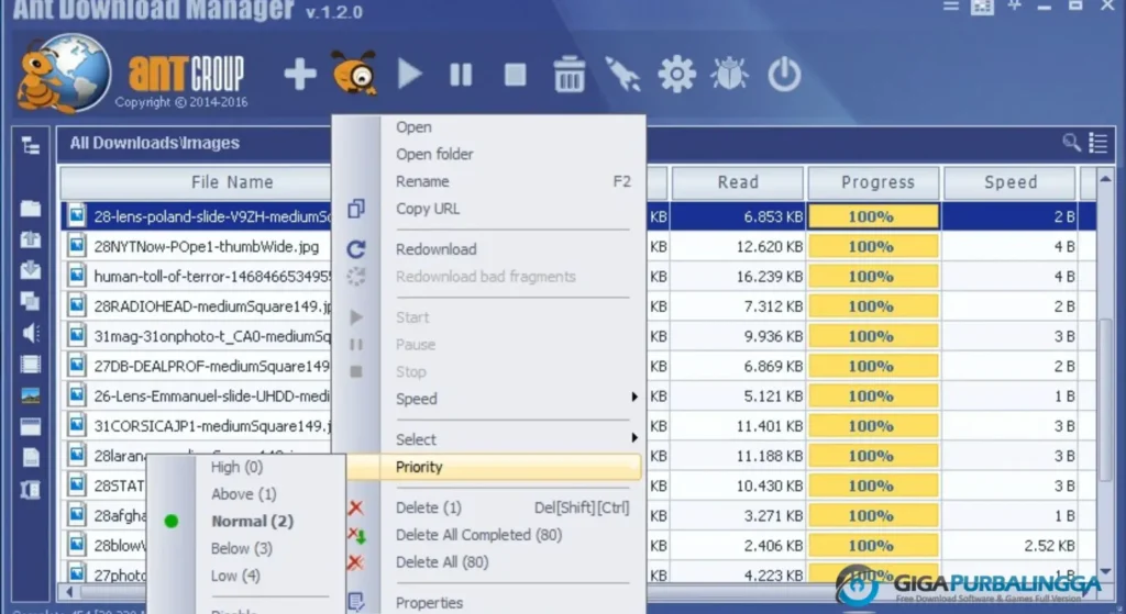 Ant Download Manager Download Full Version