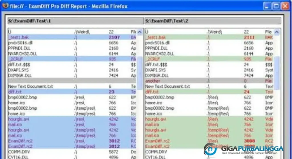 ExamDiff Pro Full Version Download