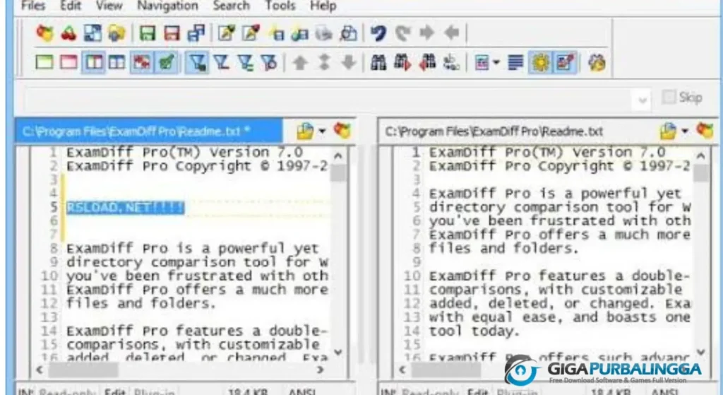 ExamDiff Pro Full Version Download