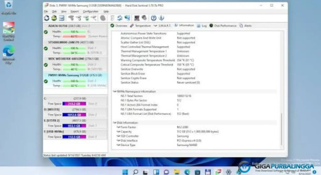 Hard Disk Sentinel Terbaru Download Full Version