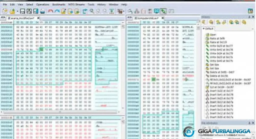 Hex Editor Neo Terbaru Download Full Version