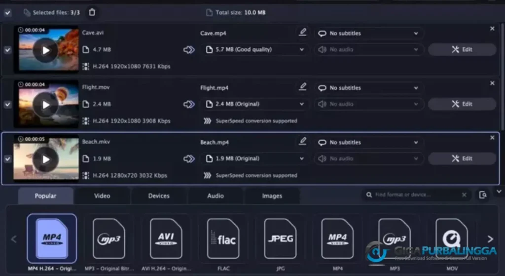Movavi Video Converter Free Download