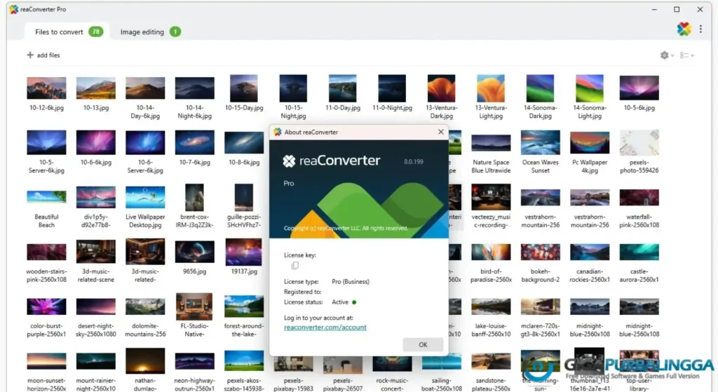 ReaConverter Pro Full Version Free Download