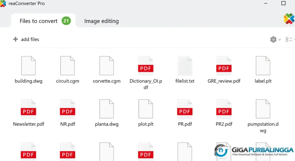 ReaConverter Pro Full Version Free Download