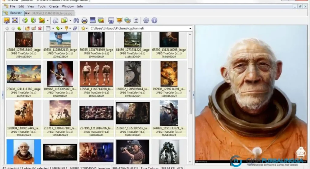 Unduh XnView MP untuk Windows