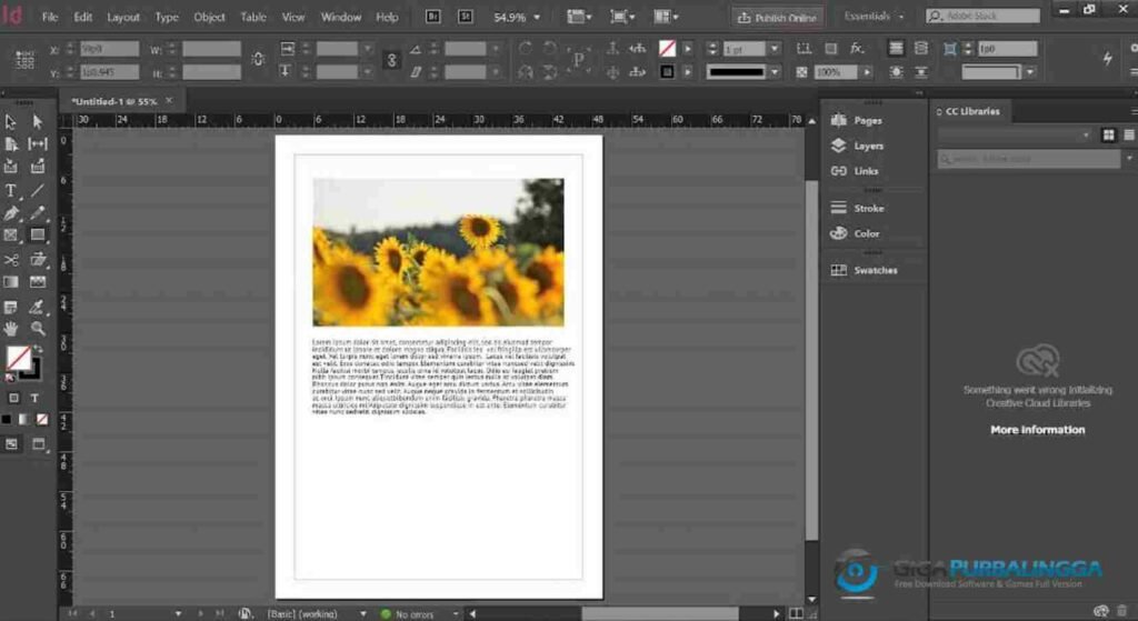 Adobe InDesign Full Version Download