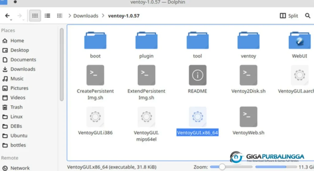 Ventoy Terbaru Full Premium Version Download